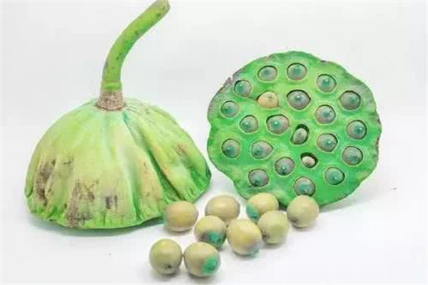 蓮子吃多了會拉肚子嗎 蓮子吃了會不會拉肚子 蓮子吃多了會拉肚子嗎 蓮子吃了會不會拉肚子