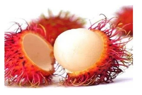 什么是紅毛丹呢 紅毛丹有什么營養(yǎng)價值呢