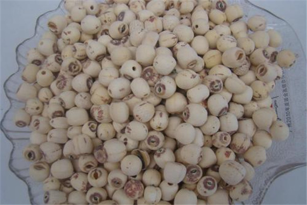 蓮子吃了會(huì)脹氣嗎 蓮子會(huì)造成脹氣嗎