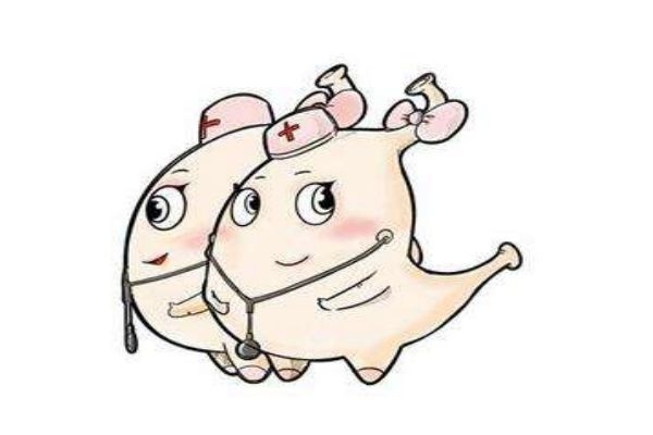 腸胃不好應(yīng)該多吃點(diǎn)什么東西呢 腸胃不好應(yīng)該怎么辦呢 腸胃不好應(yīng)該多吃點(diǎn)什么東西呢 腸胃不好應(yīng)該怎么辦呢