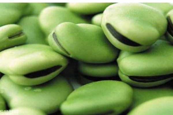 吃蠶豆有什么好處呢 蠶豆有什么禁忌人群?jiǎn)?><p><strong>吃蠶豆有什么好處呢 蠶豆有什么禁忌人群?jiǎn)?/strong></p></a></li> 	     </ul>
		</div>
	   <div   id=