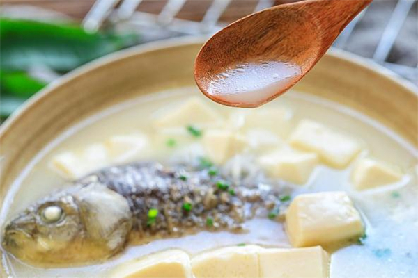 鯽魚豆腐湯放牛奶嗎 鯽魚豆腐湯怎么做湯白 鯽魚豆腐湯放牛奶嗎 鯽魚豆腐湯怎么做湯白
