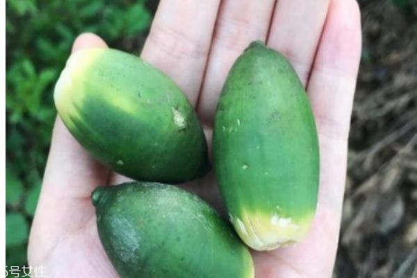 吃檳榔有什么注意事項(xiàng)呢 什么人群不能吃檳榔呢 吃檳榔有什么注意事項(xiàng)呢 什么人群不能吃檳榔呢