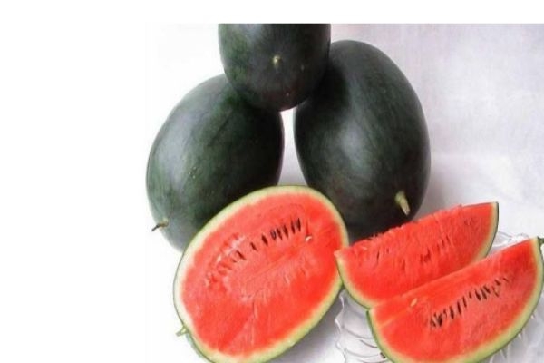 什么是黑美人瓜呢 黑美人瓜有什么作用呢 什么是黑美人瓜呢 黑美人瓜有什么作用呢