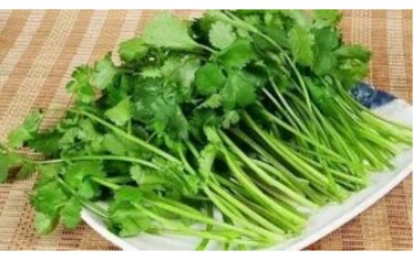 什么是蕪荽是 蕪荽有什么營養(yǎng)價值呢 什么是蕪荽是 蕪荽有什么營養(yǎng)價值呢