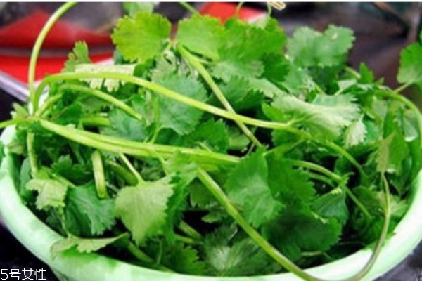 什么是蕪荽是 蕪荽有什么營養(yǎng)價值呢 什么是蕪荽是 蕪荽有什么營養(yǎng)價值呢