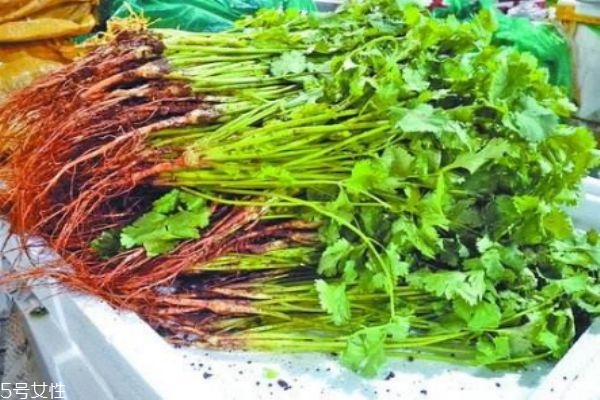 什么是蕪荽是 蕪荽有什么營養(yǎng)價值呢 什么是蕪荽是 蕪荽有什么營養(yǎng)價值呢