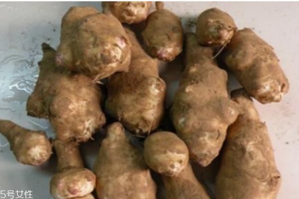 菊芋有什么營(yíng)養(yǎng)價(jià)值呢 菊芋有什么好處呢