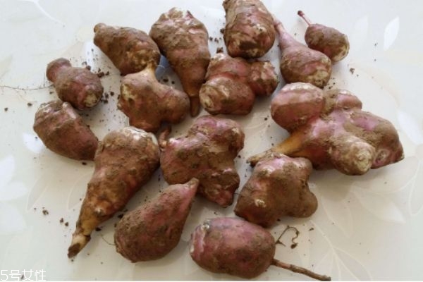 菊芋有什么營(yíng)養(yǎng)價(jià)值呢 菊芋有什么好處呢