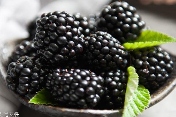 什么是黑莓呢 黑莓有什么營養(yǎng)價(jià)值呢 什么是黑莓呢 黑莓有什么營養(yǎng)價(jià)值呢