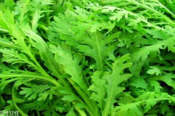 什么是茼蒿呢 茼蒿有什么營(yíng)養(yǎng)價(jià)值呢