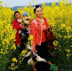 結(jié)婚后可以回娘家嗎？結(jié)婚后多久可以回娘家？