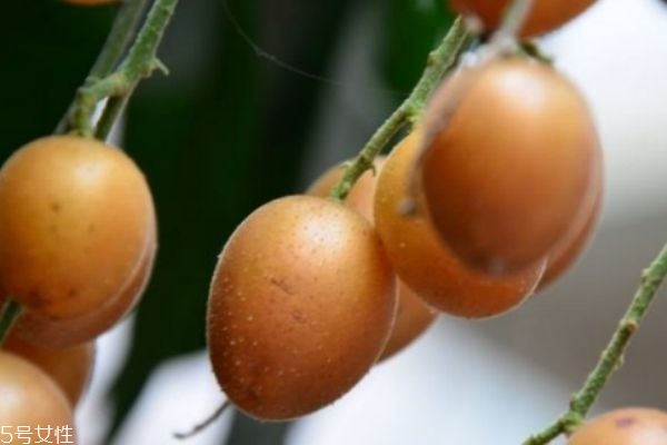 黃皮有什么營養(yǎng)價(jià)值呢 吃黃皮有什么作用呢