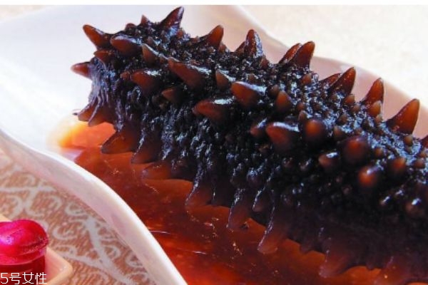 吃海參有什么注意的呢 海參有什么禁忌呢 吃海參有什么注意的呢 海參有什么禁忌呢