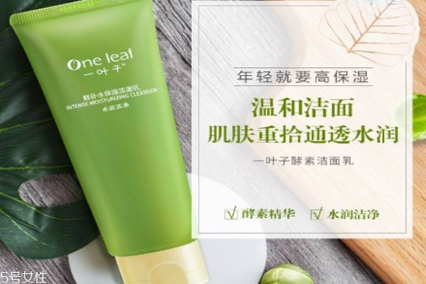一葉子鮮補水保濕潔面乳適合膚質(zhì) 一葉子鮮補水潔面用法
