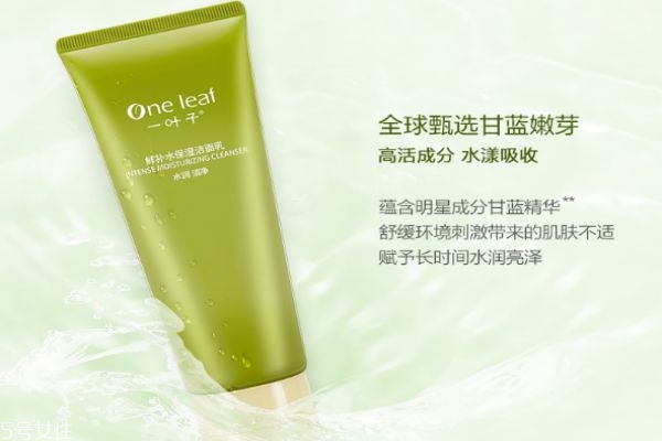 一葉子鮮補水保濕潔面乳適合膚質(zhì) 一葉子鮮補水潔面用法