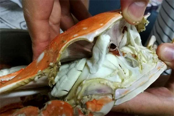 梭子蟹為什么肉很爛 梭子蟹肉吃起來粉粉的什么情況 梭子蟹為什么肉很爛 梭子蟹肉吃起來粉粉的什么情況