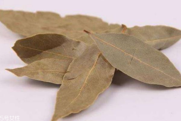 什么是香葉呢 香葉有什么作用呢 什么是香葉呢 香葉有什么作用呢