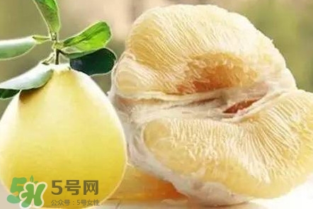 蜜柚是哪個(gè)季節(jié)的水果？蜜柚和沙田柚的區(qū)別是什么？