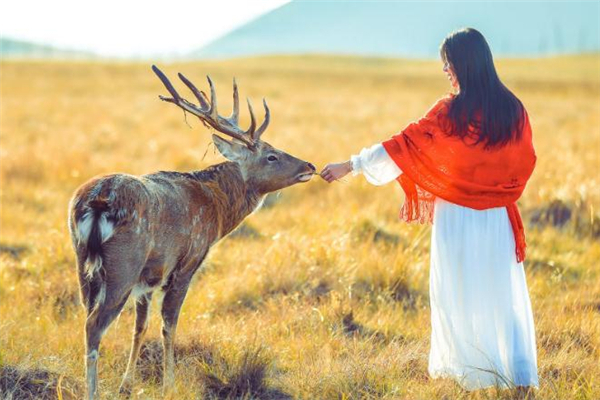 草原玩穿什么衣服好看 去草原玩適合穿什么衣服 草原玩穿什么衣服好看 去草原玩適合穿什么衣服