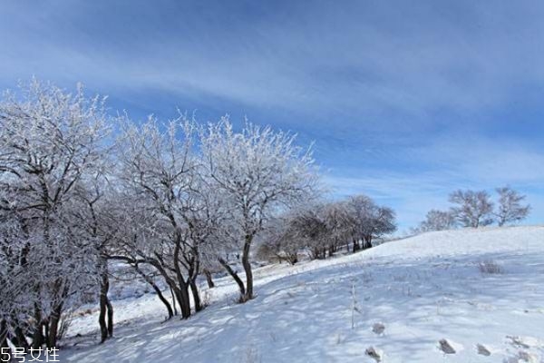 冬天怕冷是陰虛還是陽(yáng)虛 畏寒怕冷怎么辦
