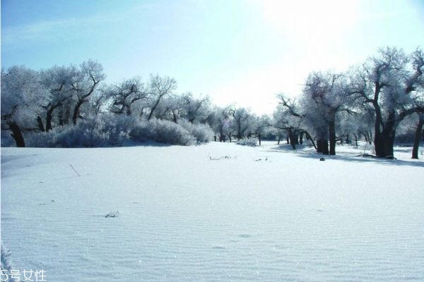 冬天怕冷是陰虛還是陽(yáng)虛 畏寒怕冷怎么辦