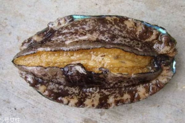 鮑魚的營(yíng)養(yǎng)價(jià)值有哪些呢 吃鮑魚有什么好處呢