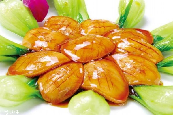 鮑魚生長在哪里呢 鮑魚主要產(chǎn)自哪里呢 鮑魚生長在哪里呢 鮑魚主要產(chǎn)自哪里呢