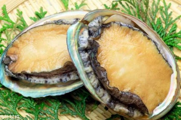 鮑魚生長在哪里呢 鮑魚主要產(chǎn)自哪里呢 鮑魚生長在哪里呢 鮑魚主要產(chǎn)自哪里呢