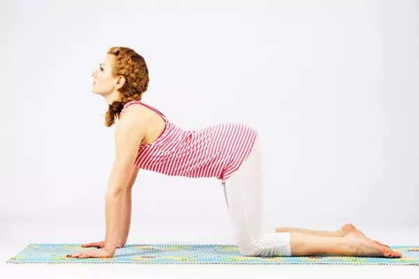 貓式瑜伽可以練哪個地方 貓式瑜伽怎么練 貓式瑜伽可以練哪個地方 貓式瑜伽怎么練