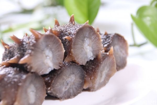 海參怎么吃有營養(yǎng) 吃海參有什么禁忌 海參怎么吃有營養(yǎng) 吃海參有什么禁忌