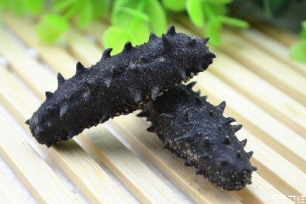 海參怎么吃有營養(yǎng) 吃海參有什么禁忌 海參怎么吃有營養(yǎng) 吃海參有什么禁忌