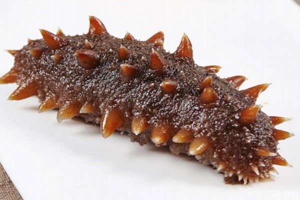 海參怎么吃有營養(yǎng) 吃海參有什么禁忌 海參怎么吃有營養(yǎng) 吃海參有什么禁忌