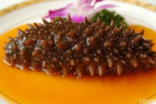 海參怎么吃有營養(yǎng) 吃海參有什么禁忌 海參怎么吃有營養(yǎng) 吃海參有什么禁忌