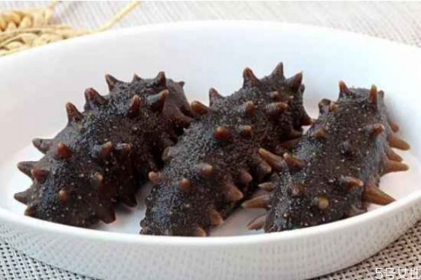海參怎么吃有營養(yǎng) 吃海參有什么禁忌 海參怎么吃有營養(yǎng) 吃海參有什么禁忌