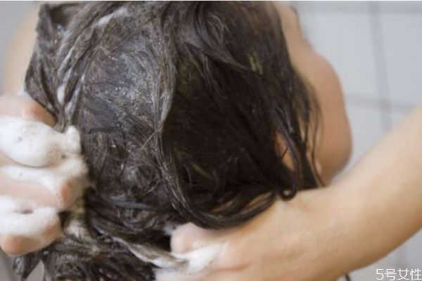 油性頭發(fā)可以天天洗嗎 油性頭發(fā)多久洗一次 油性頭發(fā)可以天天洗嗎 油性頭發(fā)多久洗一次