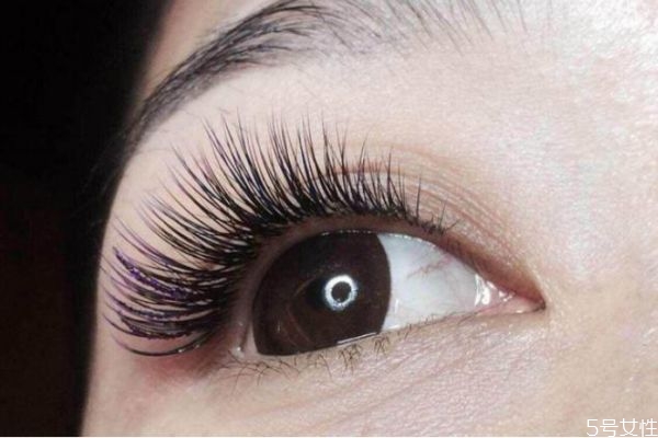 種睫毛到底好不好 經(jīng)常種睫毛的利弊 種睫毛到底好不好 經(jīng)常種睫毛的利弊