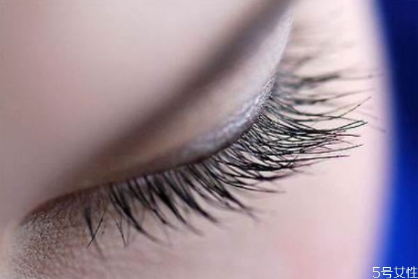 種睫毛到底好不好 經(jīng)常種睫毛的利弊 種睫毛到底好不好 經(jīng)常種睫毛的利弊