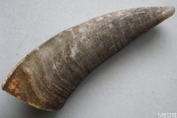 山羊角有什么營養(yǎng)價(jià)值呢 山羊角有什么作用呢