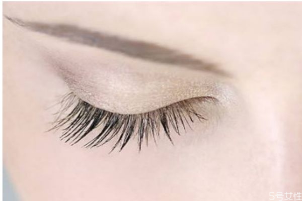 種睫毛到底好不好 經(jīng)常種睫毛的利弊 種睫毛到底好不好 經(jīng)常種睫毛的利弊