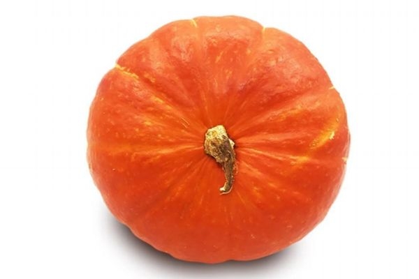 吃金瓜有什么作用呢 金瓜的生長(zhǎng)環(huán)境是怎么樣的呢