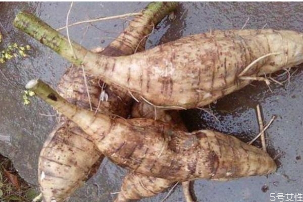 什么是葛根呢 葛根有什么營養(yǎng)價(jià)值呢