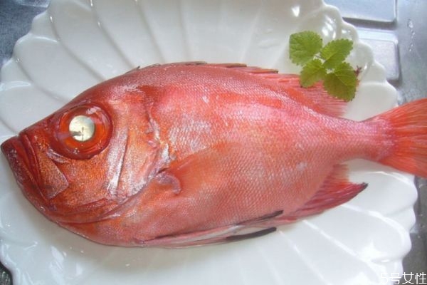 魚眼睛有什么營(yíng)養(yǎng)價(jià)值呢 吃魚眼睛對(duì)人眼有好處嗎 魚眼睛有什么營(yíng)養(yǎng)價(jià)值呢 吃魚眼睛對(duì)人眼有好處嗎