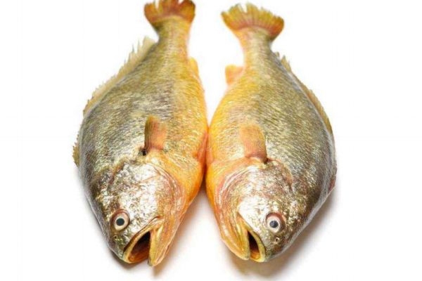 魚眼睛有什么營(yíng)養(yǎng)價(jià)值呢 吃魚眼睛對(duì)人眼有好處嗎