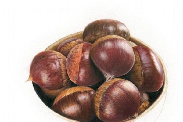栗子有什么營養(yǎng)價(jià)值呢 吃栗子有什么好處呢