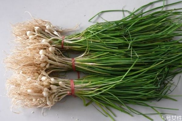 什么是薤白呢 薤白有什么作用呢 什么是薤白呢 薤白有什么作用呢