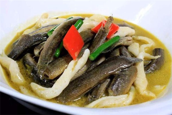 泥鰍可以生吃嗎 生吃泥鰍有什么后果 泥鰍可以生吃嗎 生吃泥鰍有什么后果