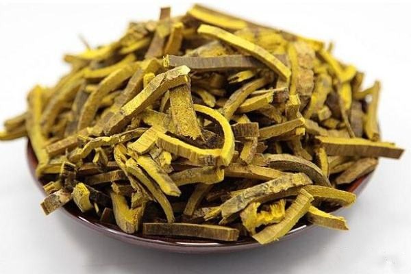 黃柏主治疾病有哪些 黃柏的生理特性 黃柏主治疾病有哪些 黃柏的生理特性