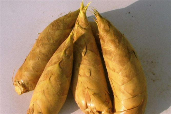 新鮮冬筍怎么去除澀味 冬筍如何焯水去澀味 新鮮冬筍怎么去除澀味 冬筍如何焯水去澀味