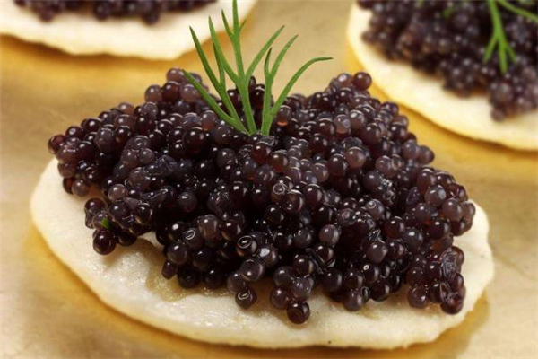 魚子醬吃多了會怎么樣 魚子醬可以經常吃嗎